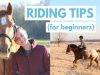 Best and Most excellent Horse Riding Tips for All Beginners to Rid Like a Pro.