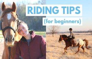 Best and Most excellent Horse Riding Tips for All Beginners to Rid Like a Pro.