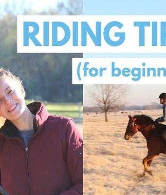 Best and Most excellent Horse Riding Tips for All Beginners to Rid Like a Pro.