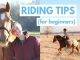 Best and Most excellent Horse Riding Tips for All Beginners to Rid Like a Pro.