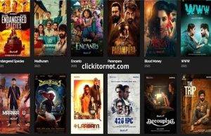 720p Movies in Telugu – Is 9xrockers Legitimate?