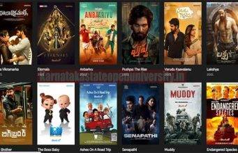 How to Add 123movies to Kodi and Zootopia to Chromecast