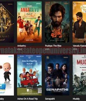 How to Add 123movies to Kodi and Zootopia to Chromecast