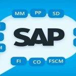 Is SAP a Software Application Or a Software