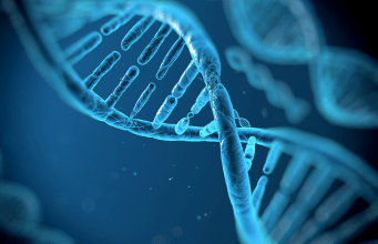 The Full Form of DNA