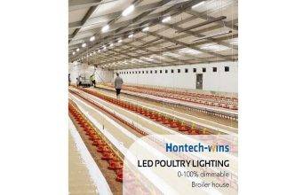 Broiler Lighting System: Perfect for Chicken Farms