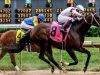 Learn BK8 Horse Racing Game and Unbeatable Betting Experience