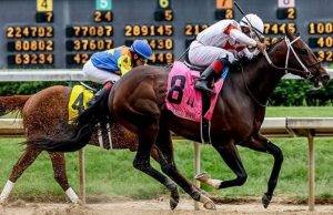 Learn BK8 Horse Racing Game and Unbeatable Betting Experience