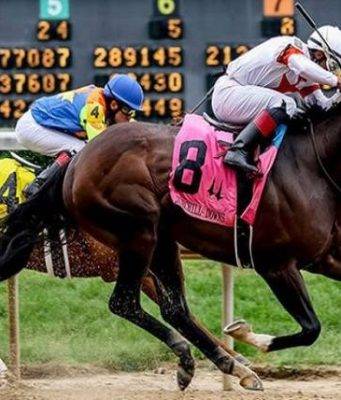 Learn BK8 Horse Racing Game and Unbeatable Betting Experience